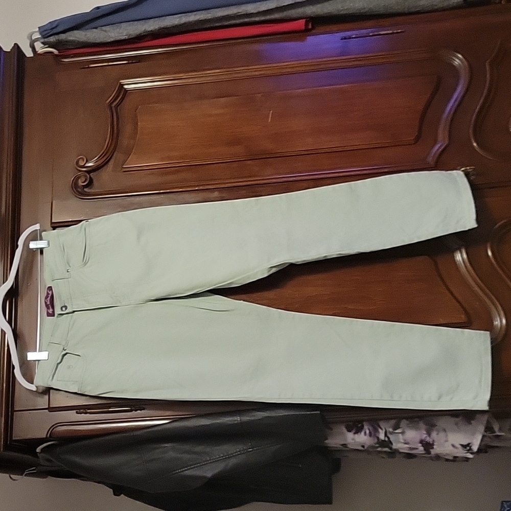 Gloria Vanderbilt Green Jeans
